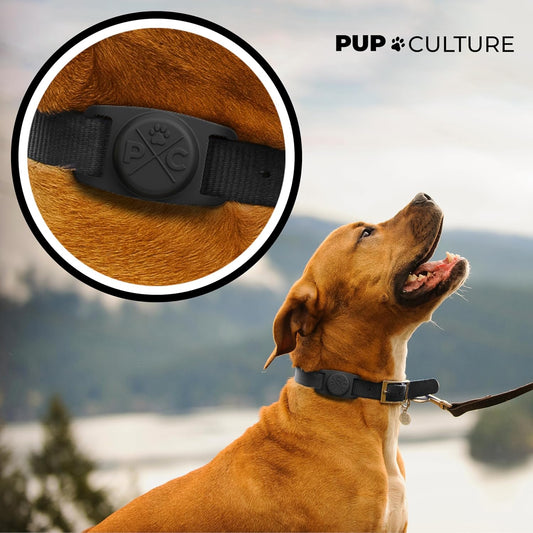 Airtag Pet Collar | Durable & Protective Dog Airtag Holder - Track Your Pet Using Apple Airtag Technology- For Dogs and Cats